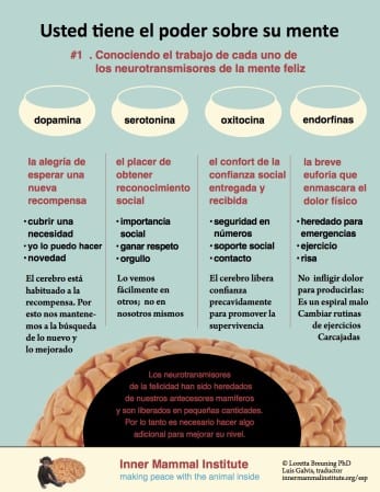 infographic.1.espanol